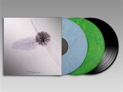 Nighttime Birds vinyl