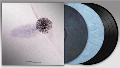 Nighttime Birds vinyl